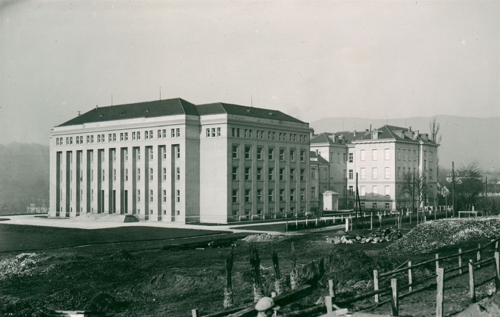 Higijenski zavod. Rockfellerove stube 1930. godine